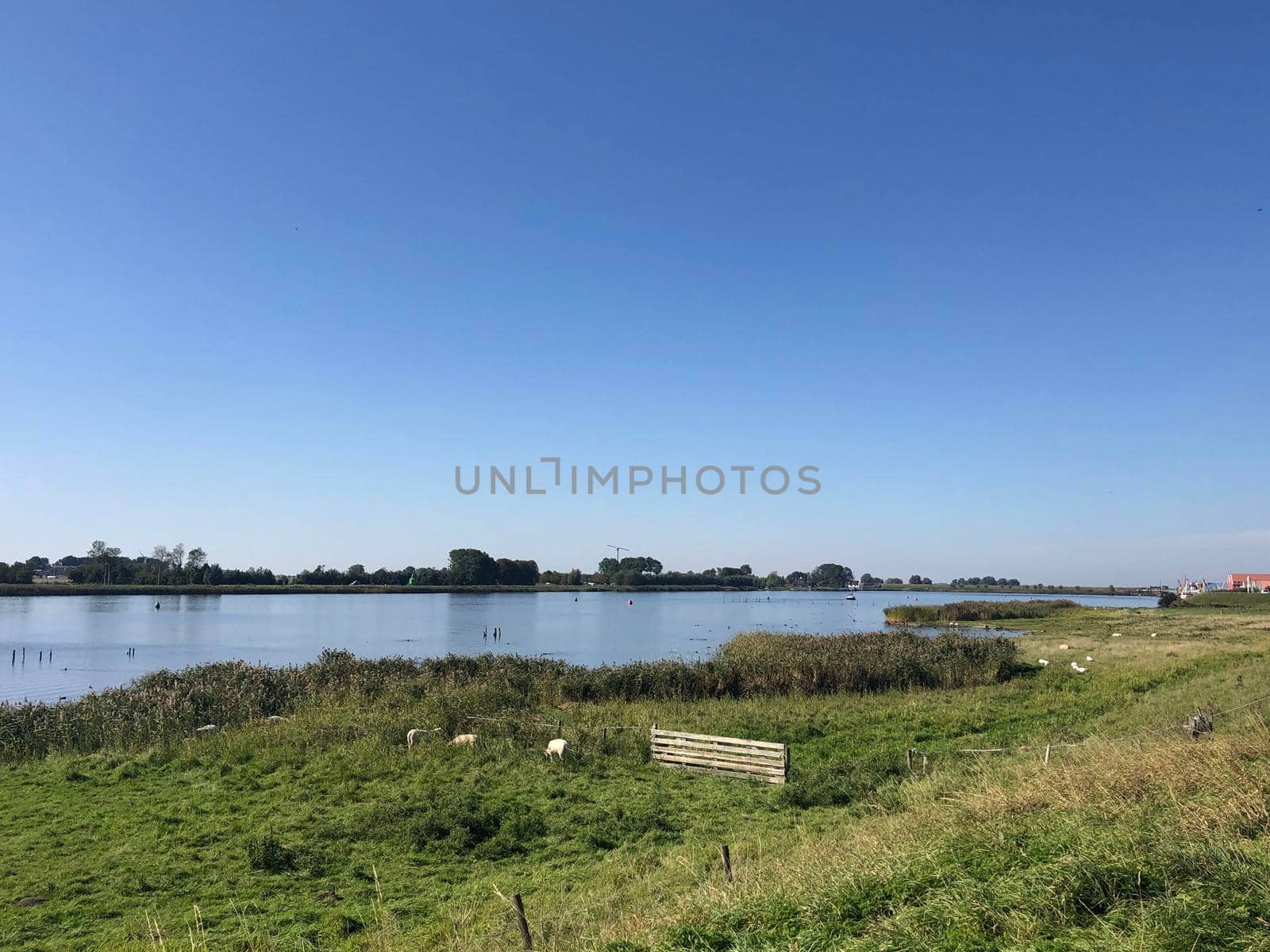 Scenery around Zoutkamp The Netherlands