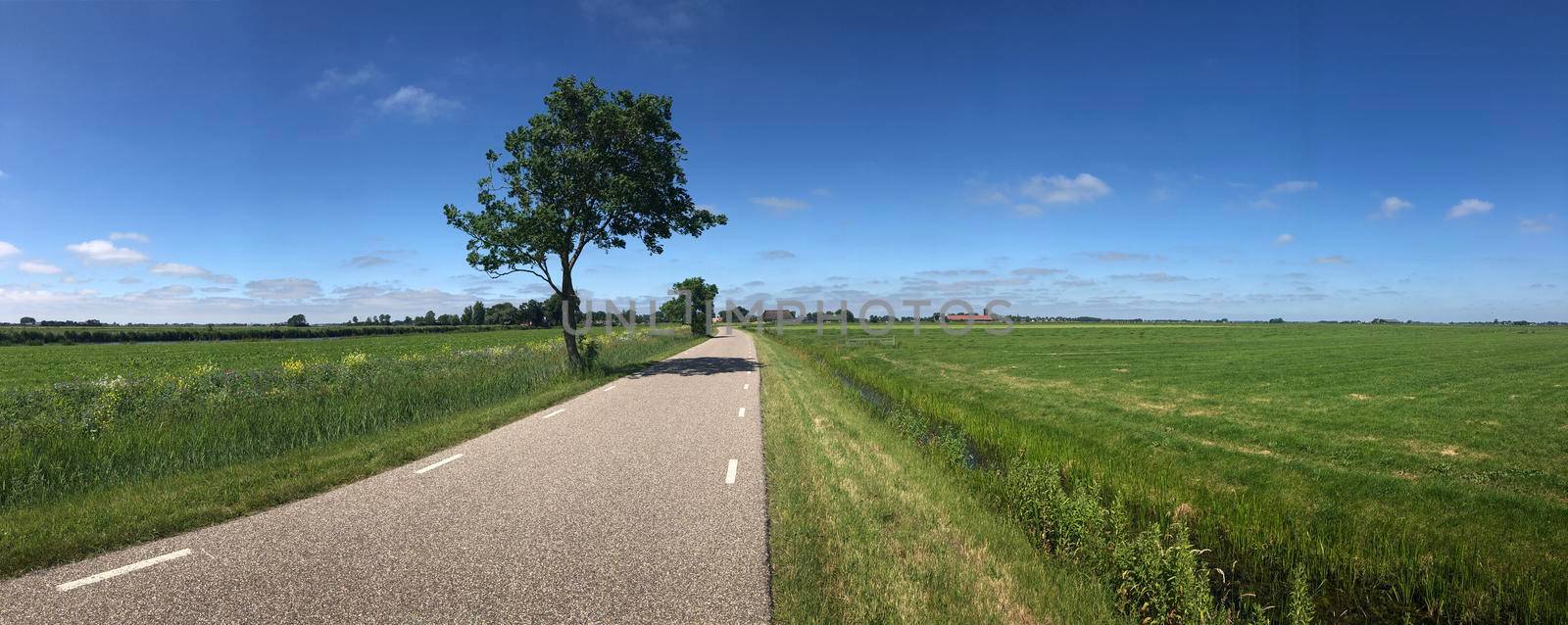 Panorama from a road towards Burdaard in Friesland The Netherlands
