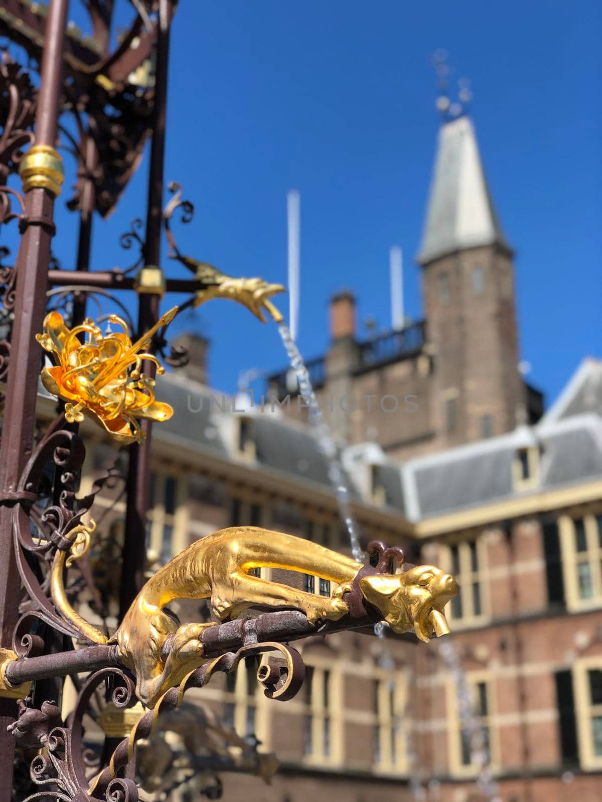 Fountain at the Binnenhof by traveltelly