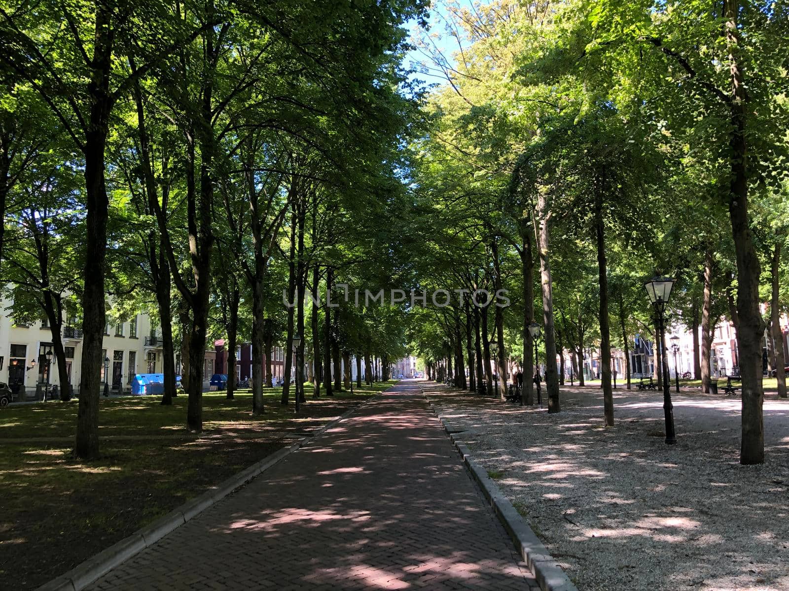 Park in The Hague, The Netherlands