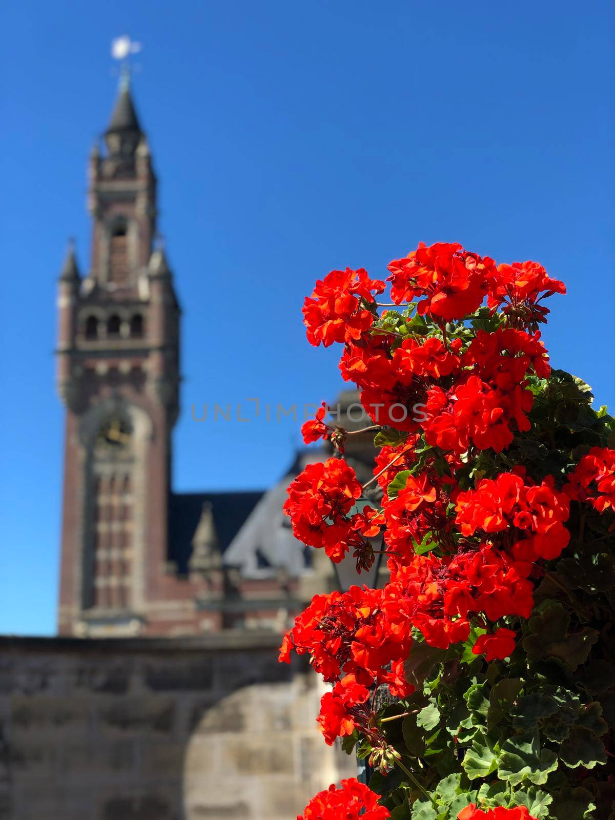The Peace Palace  by traveltelly