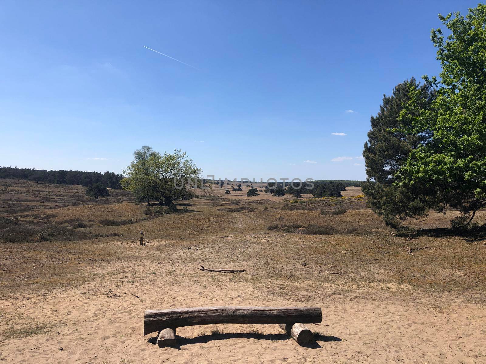 Bench at National Park De Hoge Veluwe in Gelderland by traveltelly