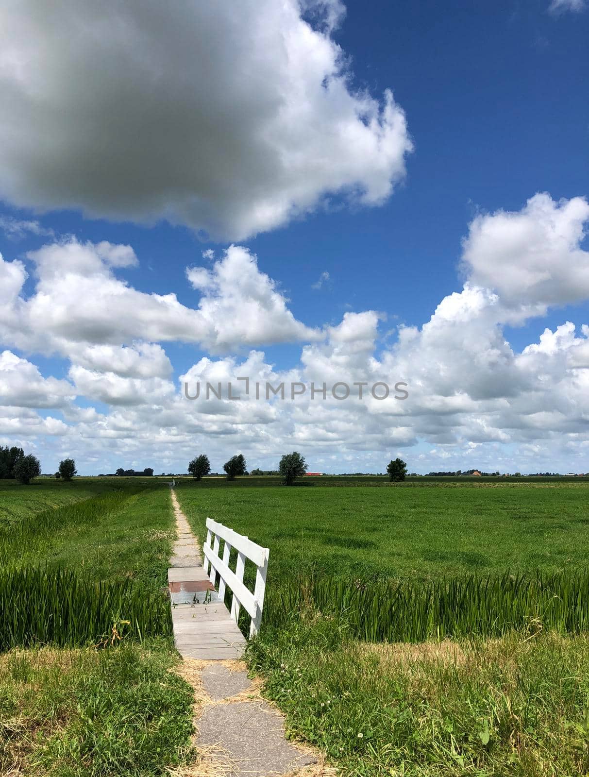 Path through farmland around Boazum in Friesland The Netherlands