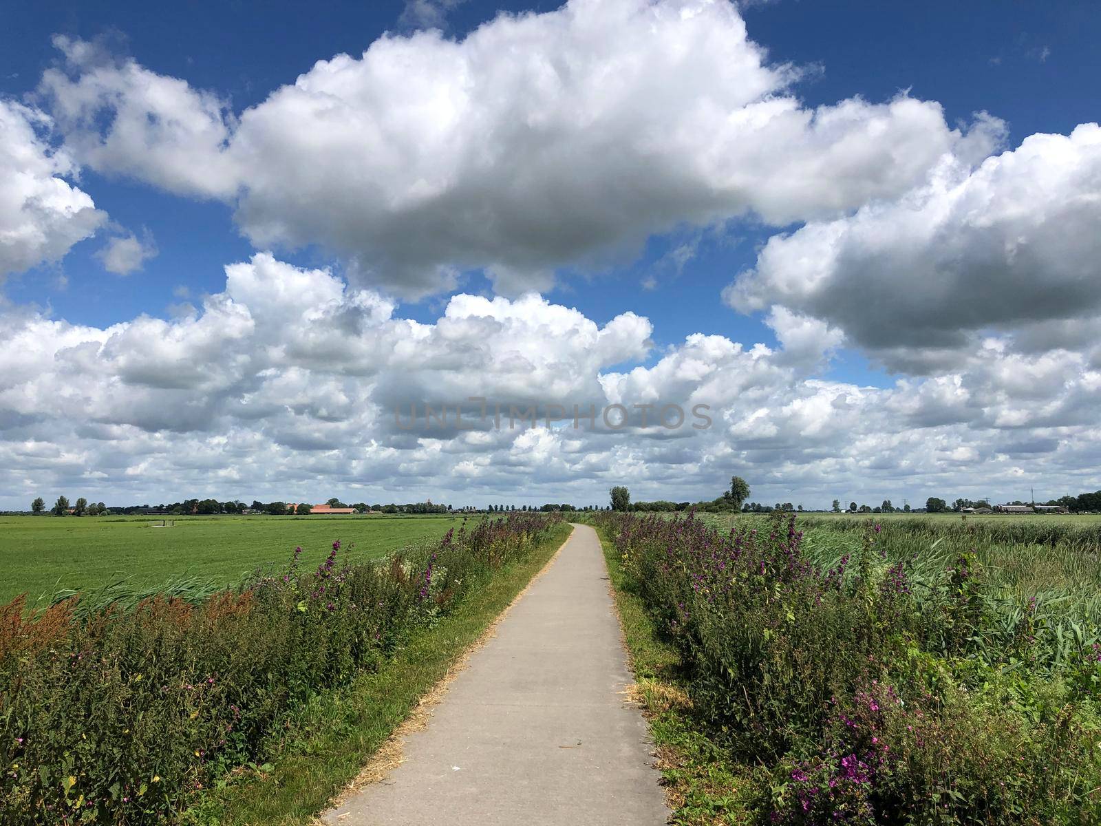 Walk and cycle path in Friesland The Netherlands