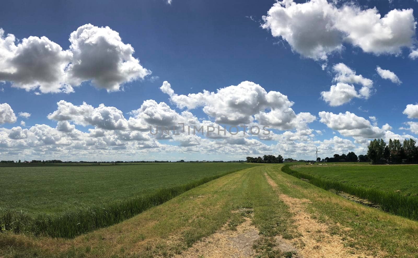 Panorama from farmland around Boazum in Friesland The Netherlands