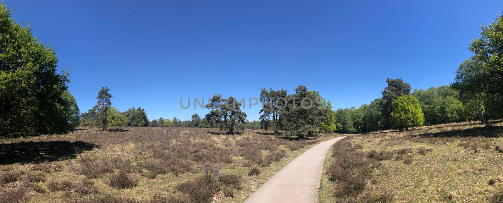 Panorama from a path through National Park De Hoge Veluwe in Gelderland, The Netherlands