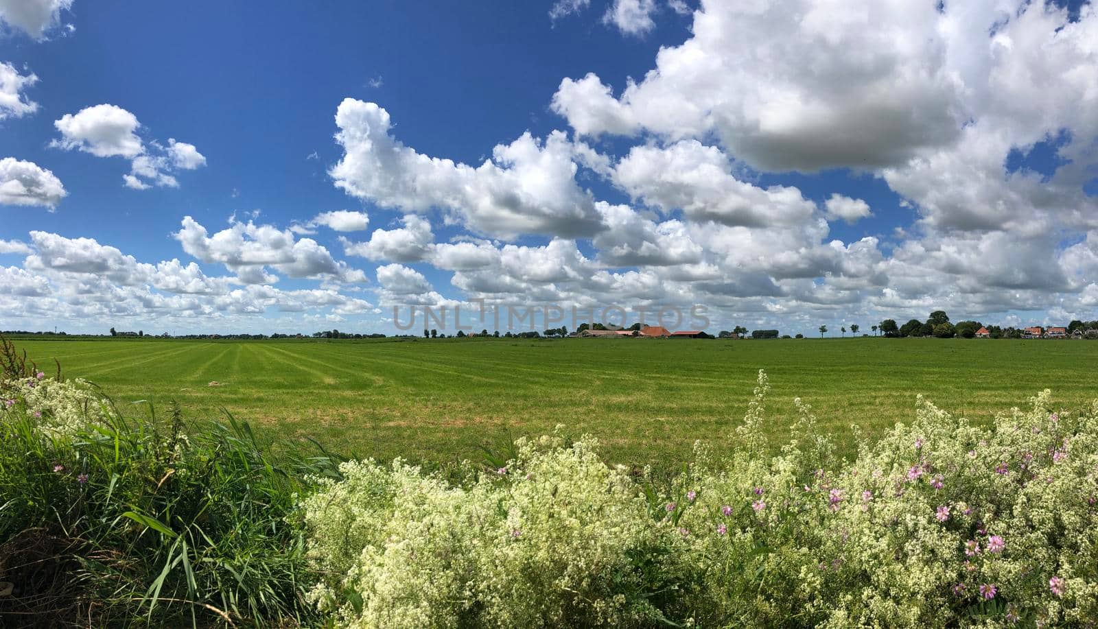 Panorama from farmland around Easterwierrum in Friesland The Netherlands