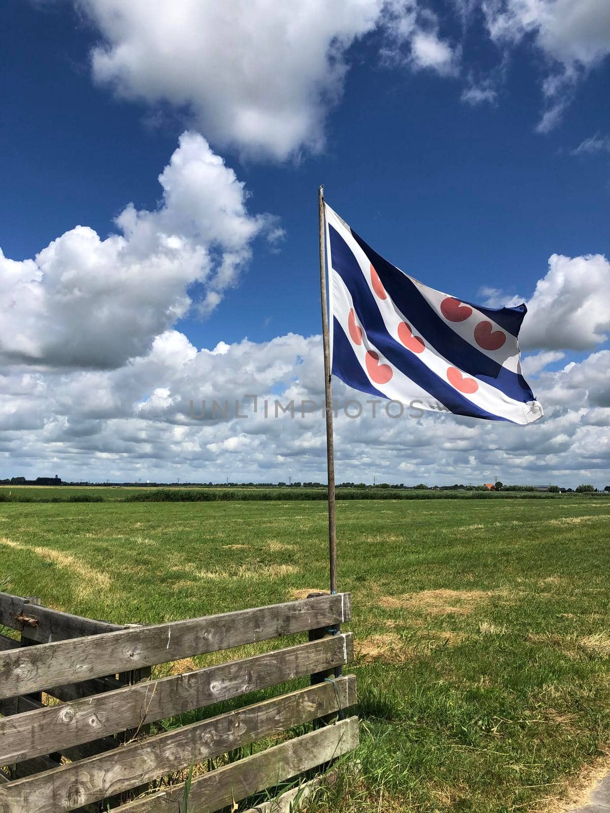 Frisian flag at a fence in The Netherlands