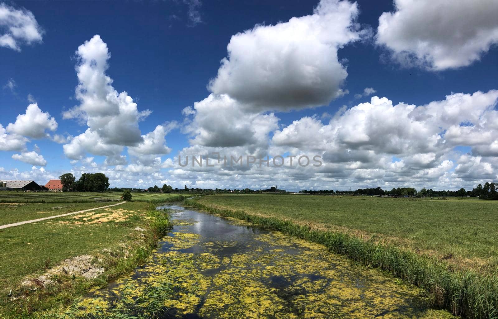 Canal and farmland around Boksum in Friesland The Netherlands