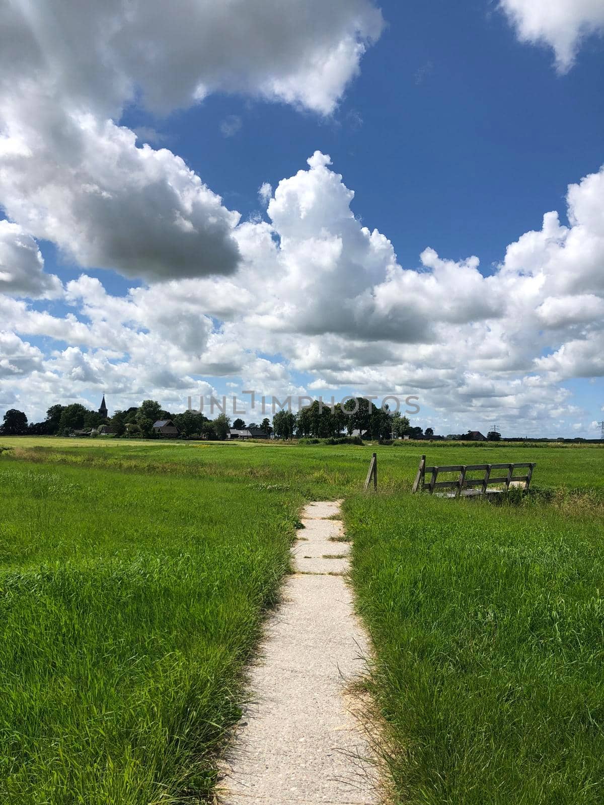 Path through farmland around Blessum in Friesland The Netherlands