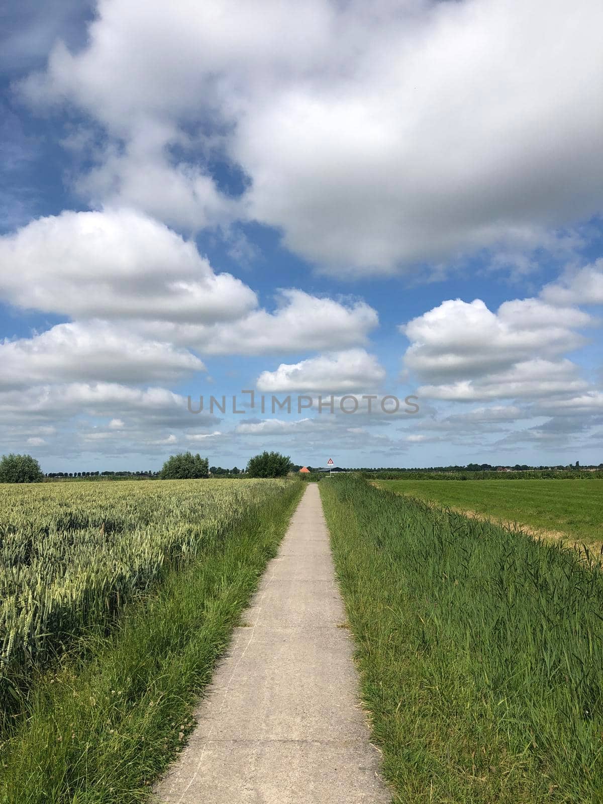 Walk and cycle path around Wirdum in Friesland The Netherlands