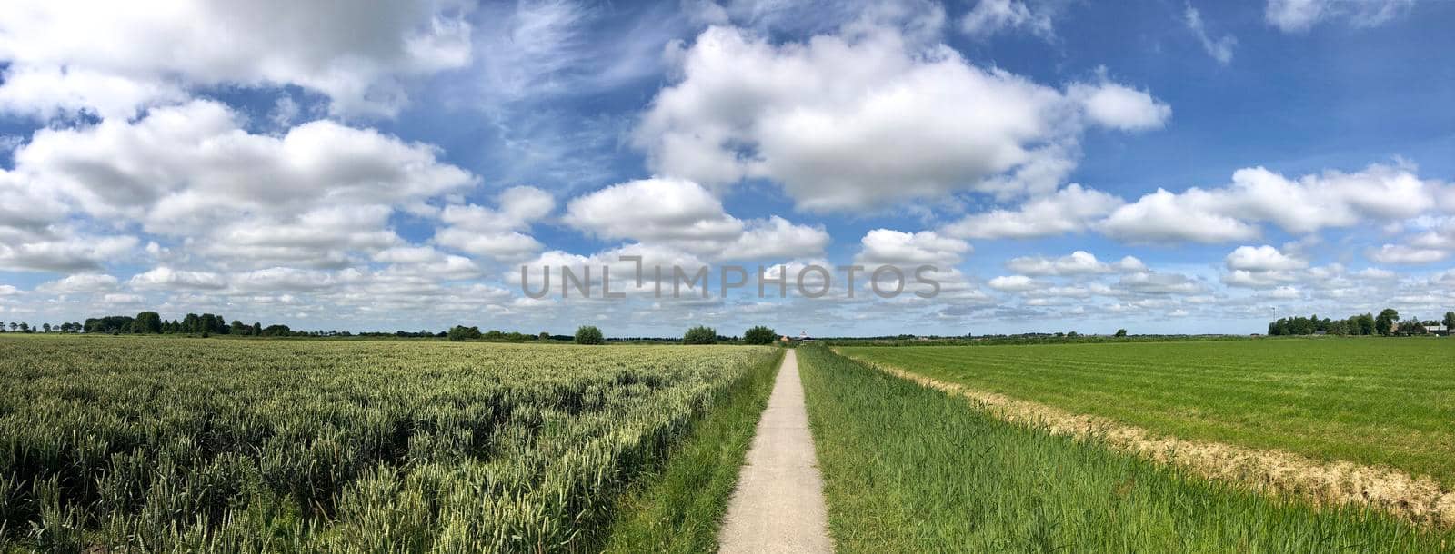 Walk and cycle path around Wirdum in Friesland The Netherlands