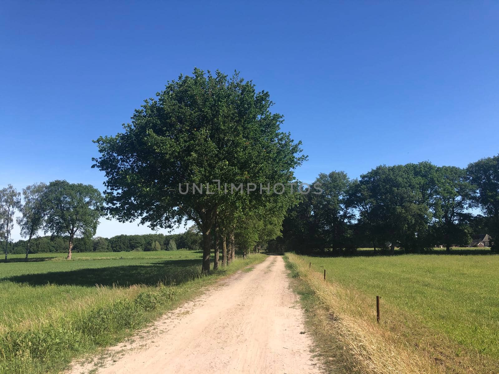 Sand road around Junne in Overijssel by traveltelly