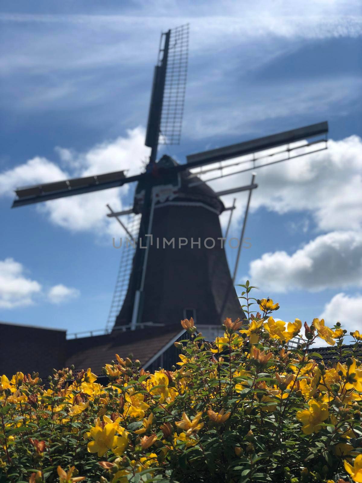 Windmill in Stiens, Friesland The Netherlands