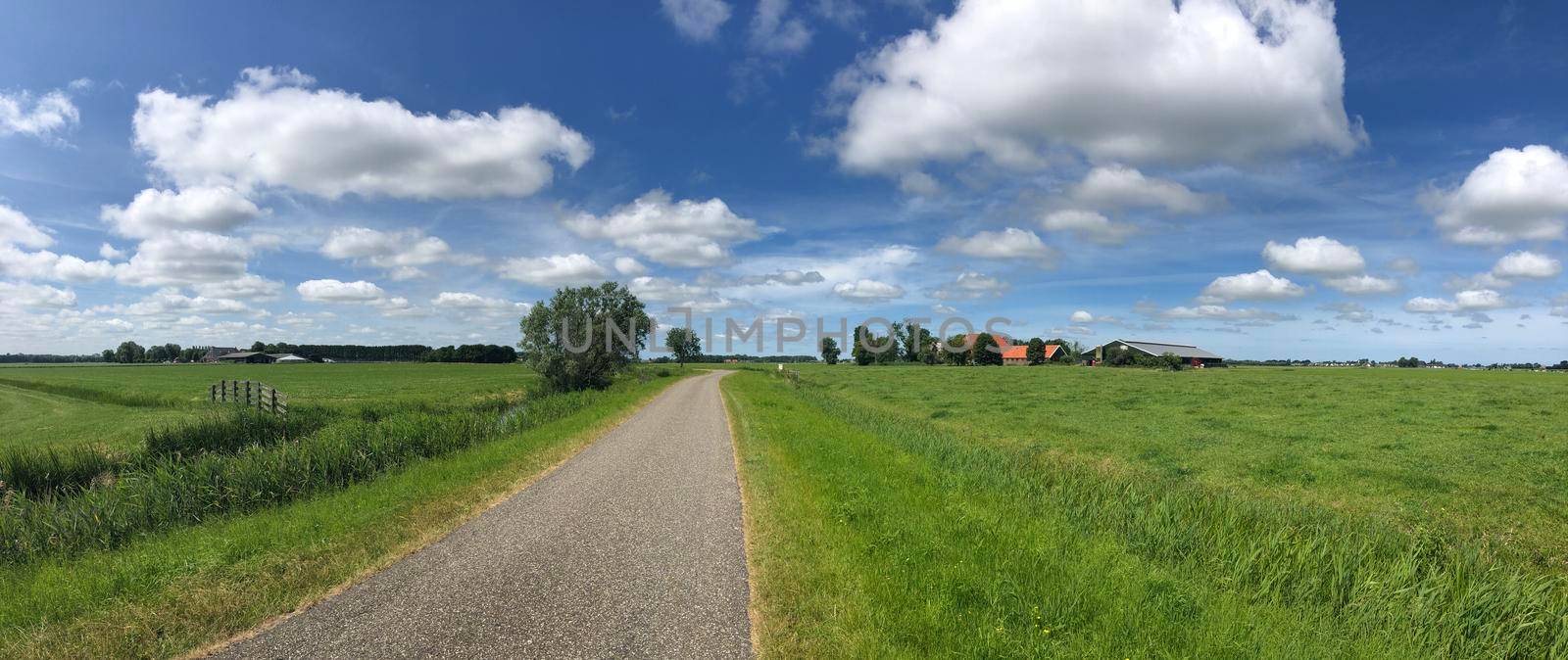 Panorama from a road towards Cornjum in Friesland The Netherlands
