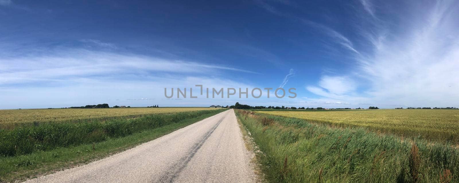 Farmland panorama around Sint Annaparochie in Friesland The Netherlands