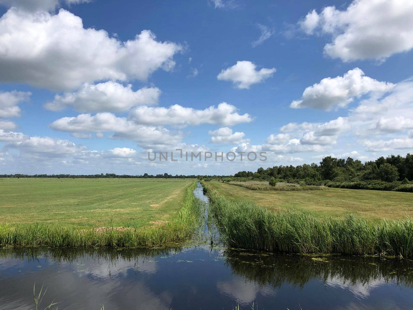 Farmland around Earnewâld in Friesland The Netherlands