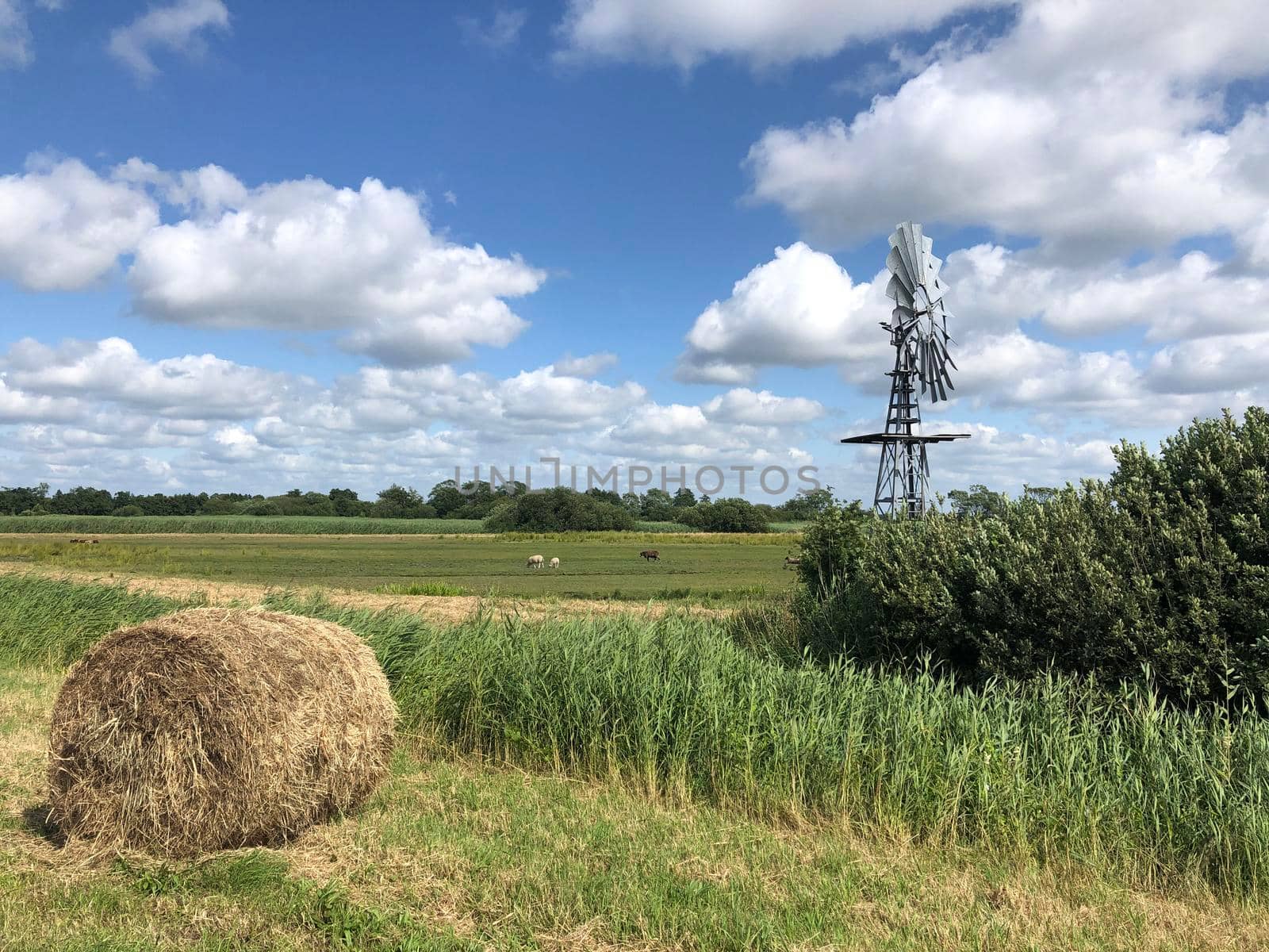 Landscape around Oudega in Friesland The Netherlands