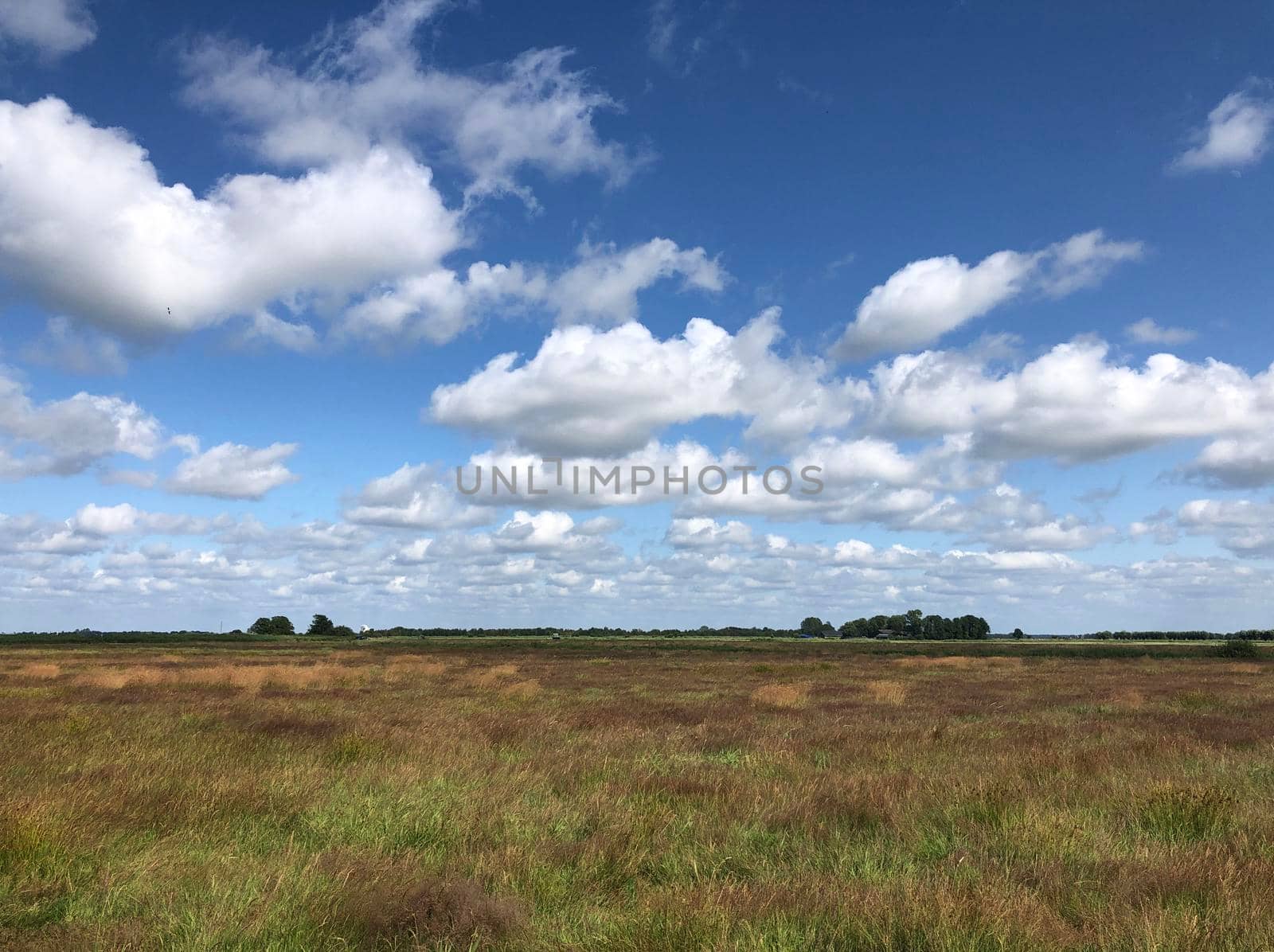 Scenic landscape at The Veenhoop in Friesland The Netherlands