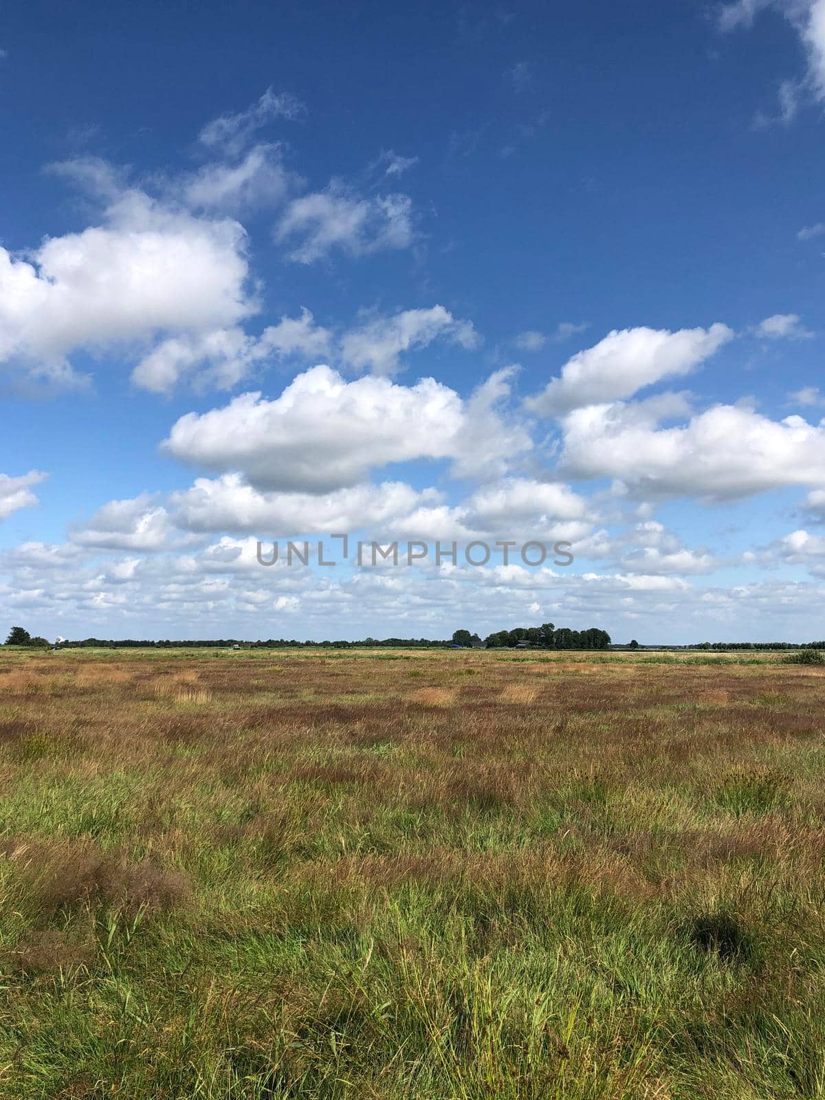 Scenic landscape at The Veenhoop in Friesland The Netherlands