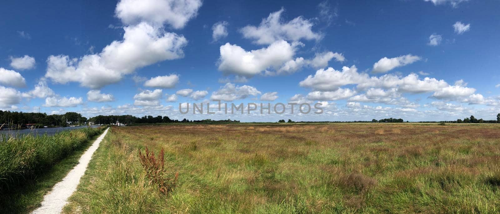 Scenic landscape at The Veenhoop in Friesland The Netherlands