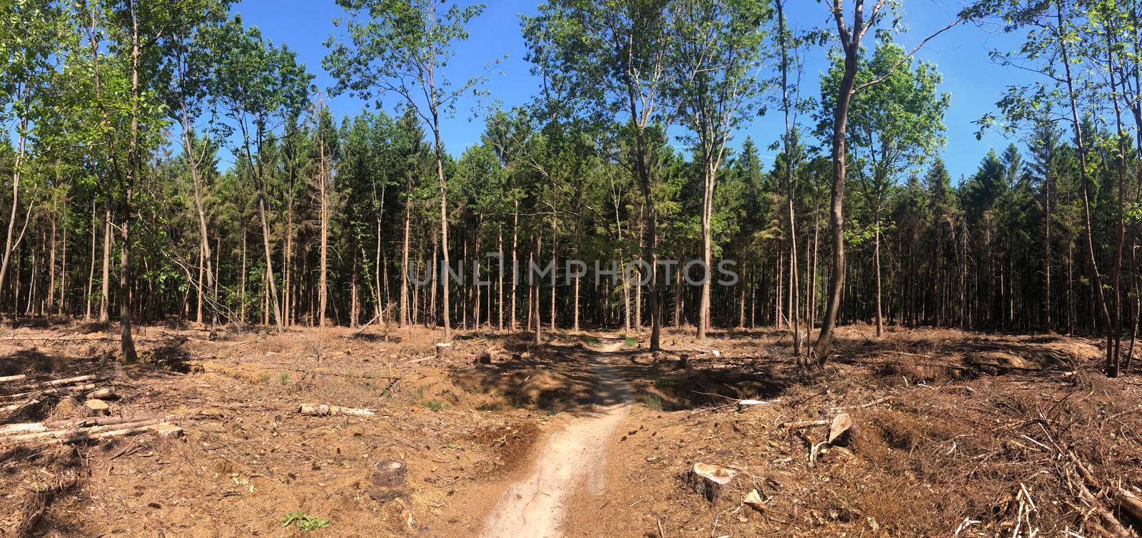 MTB path around Hardenberg in Overijssel, The Netherlands