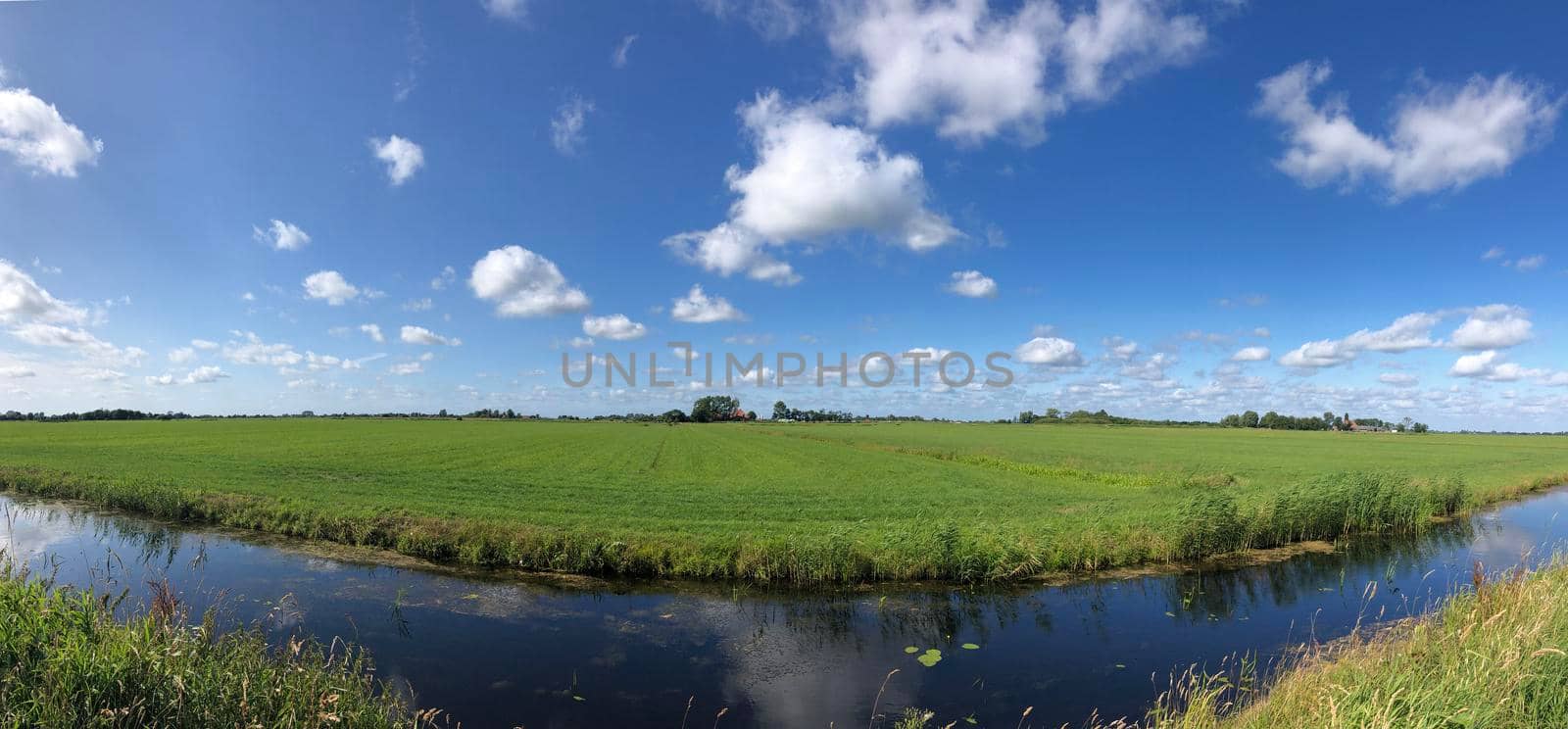 Frisian landscape panorama in The Netherlands