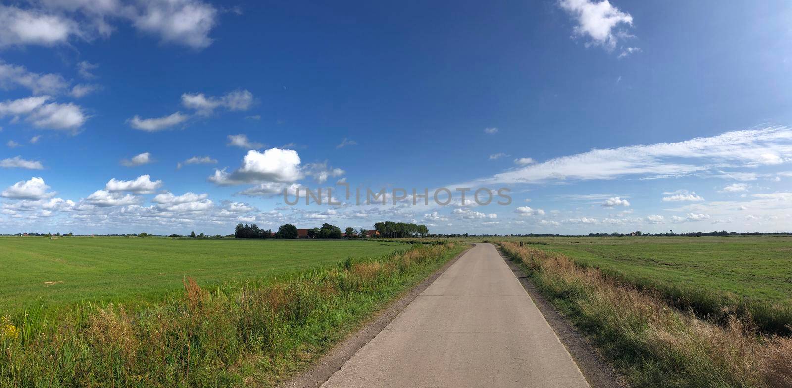 Road through farmland in Friesland, The Netherlands