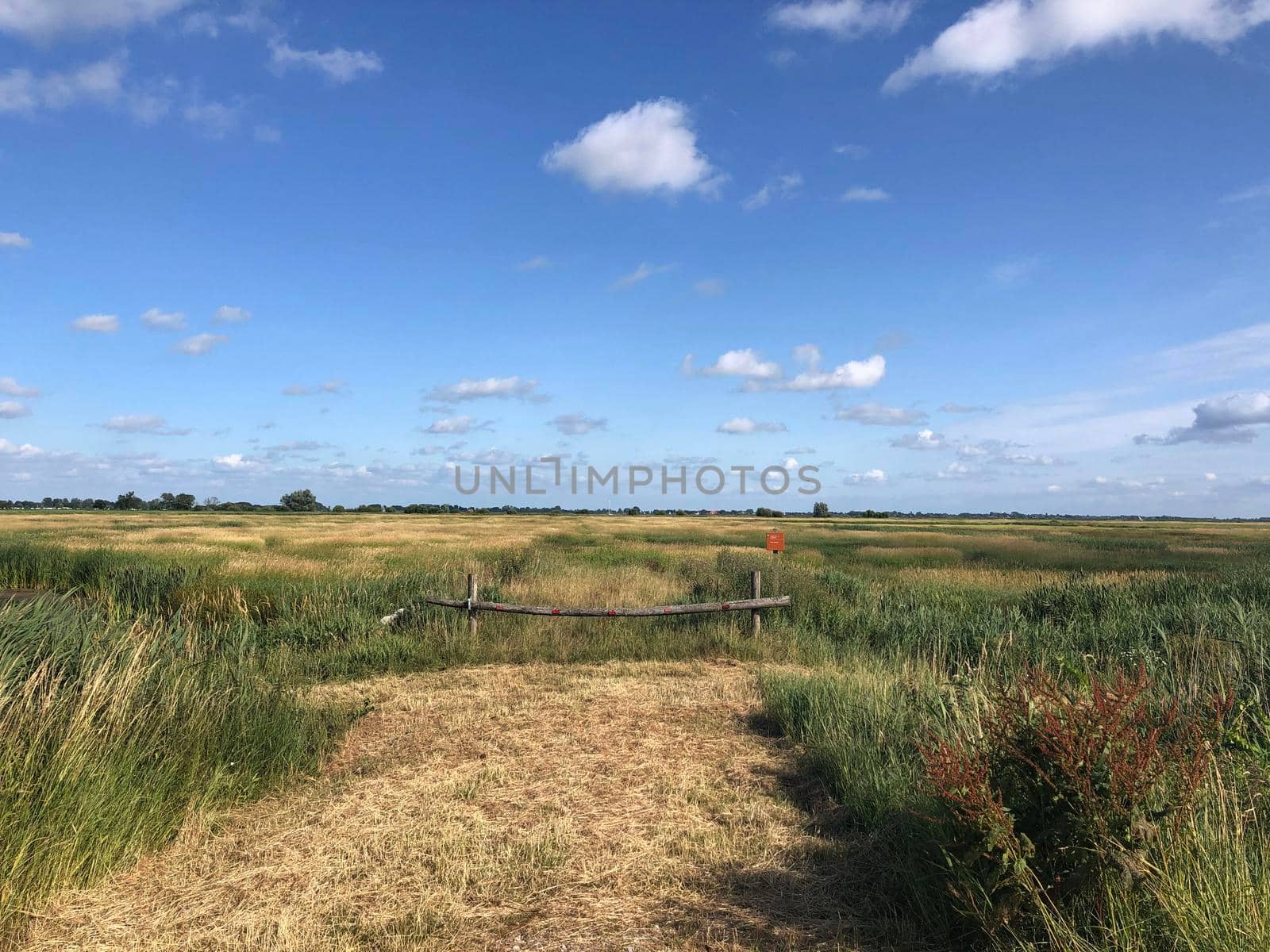 Scenery around Offingawier in Friesland The Netherlands