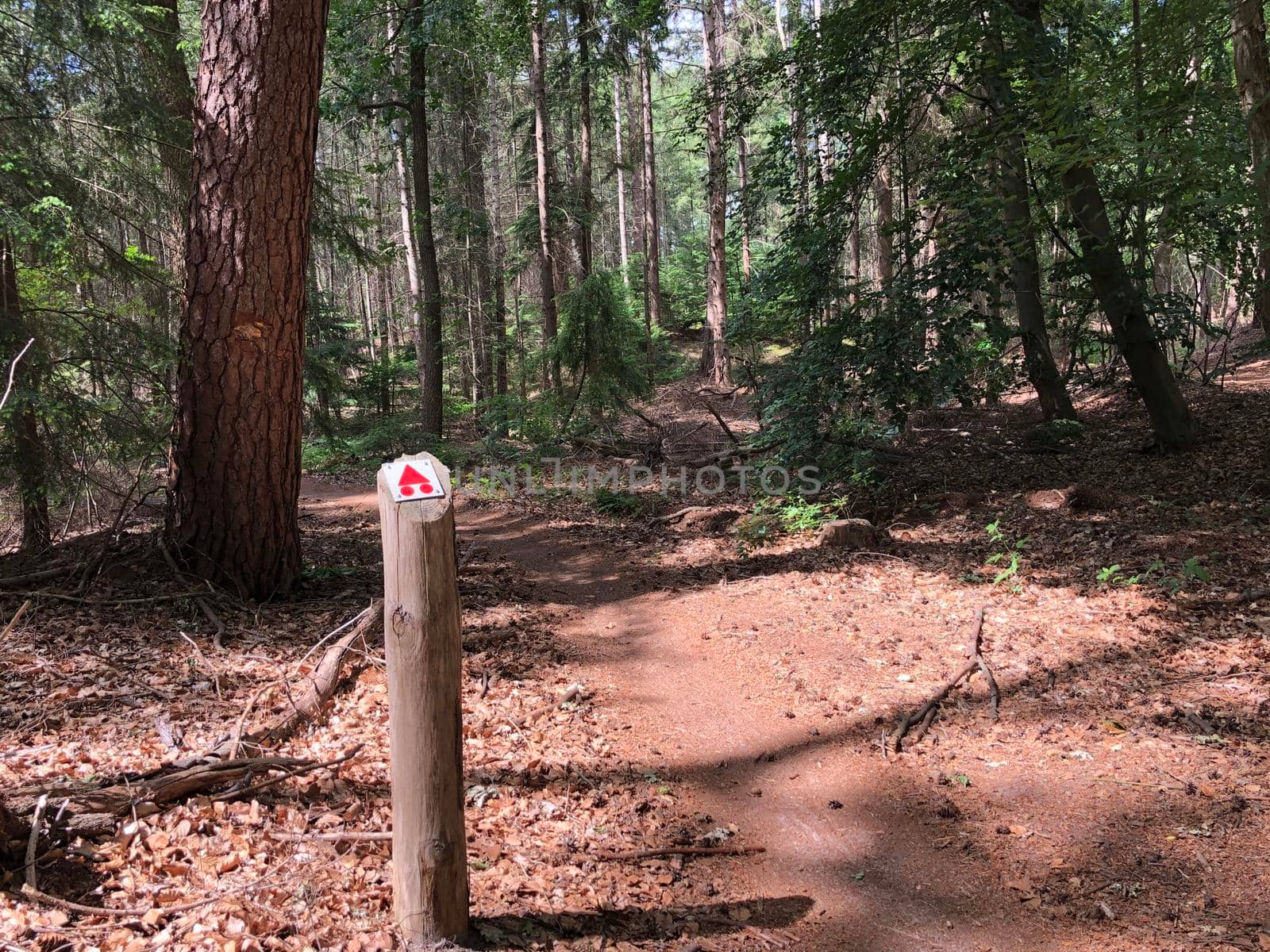 MTB route sign and forest around Ommen by traveltelly