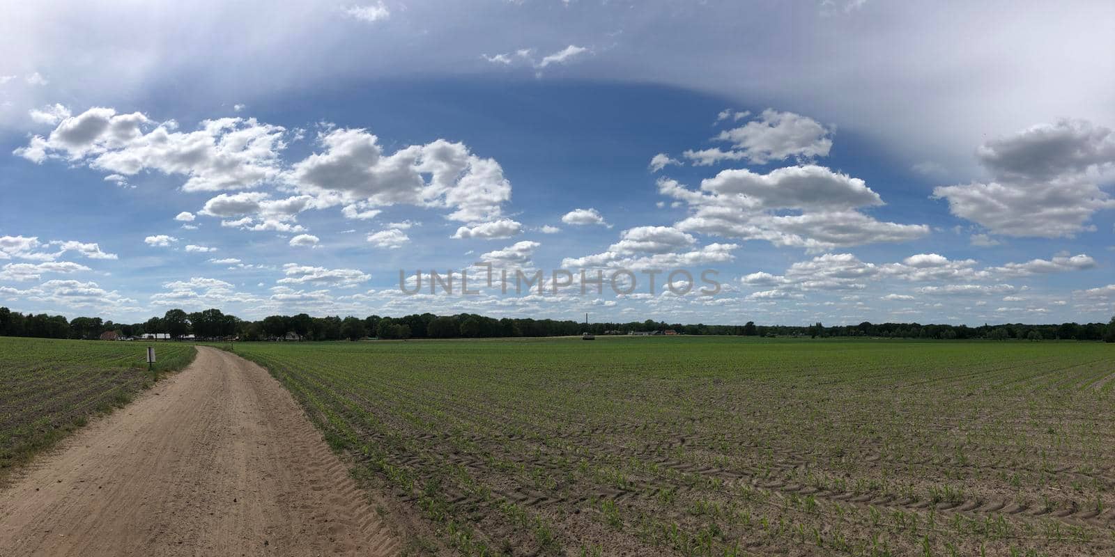 Dirt road around Ommen  by traveltelly