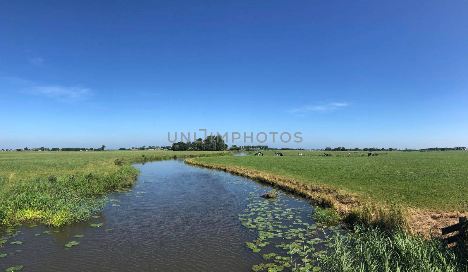Canal around Bornwird in Friesland, The Netherlands