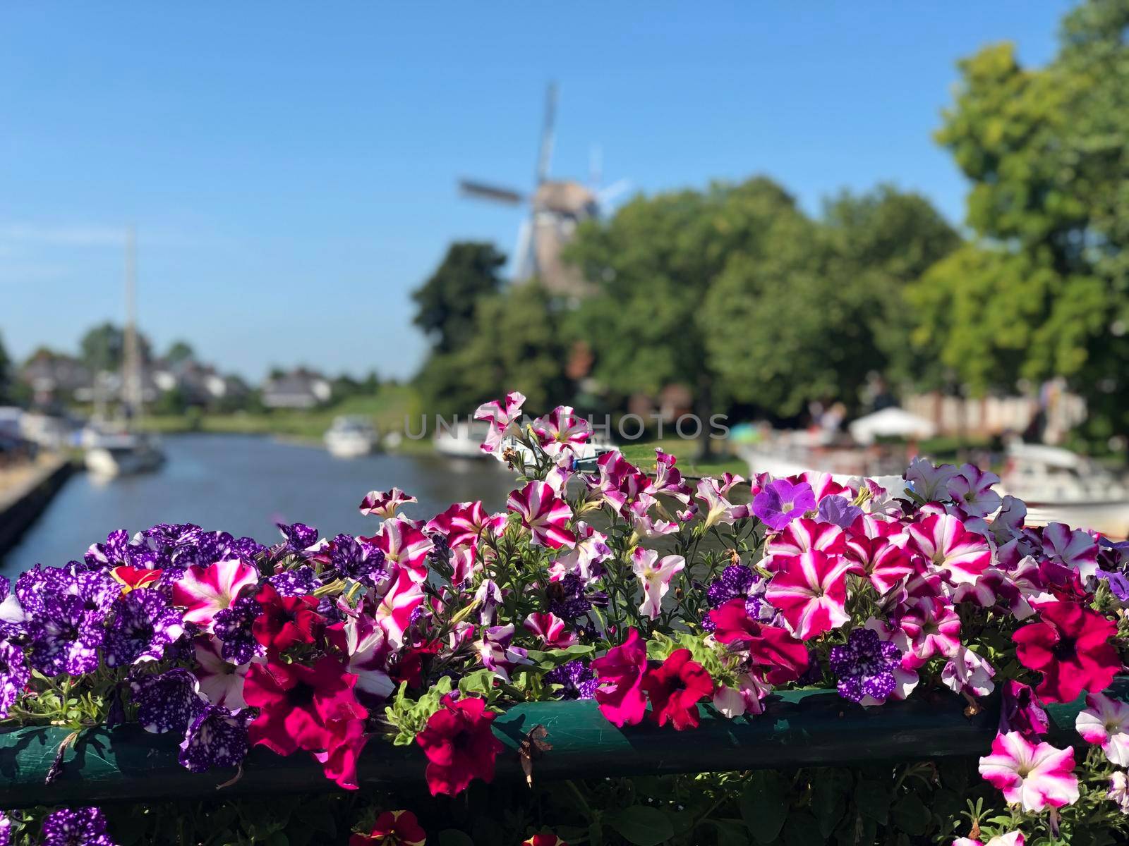 Flowers at a canal in Dokkum by traveltelly