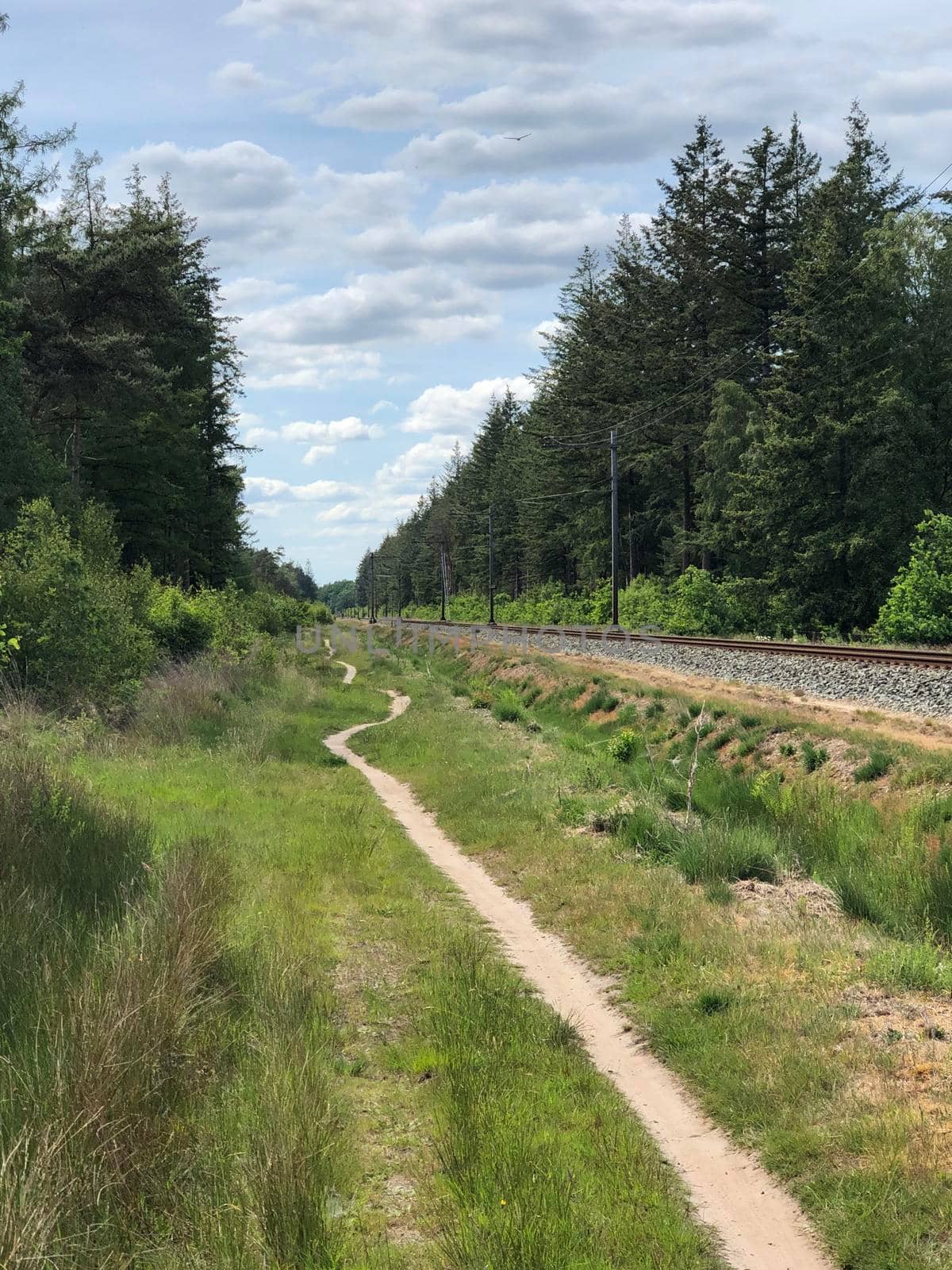 MTB route next to a train track around Ommen in Overijssel The Netherlands