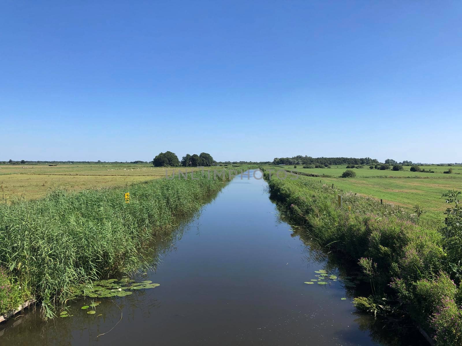 Canal around Pingmar in Friesland, The Netherlands