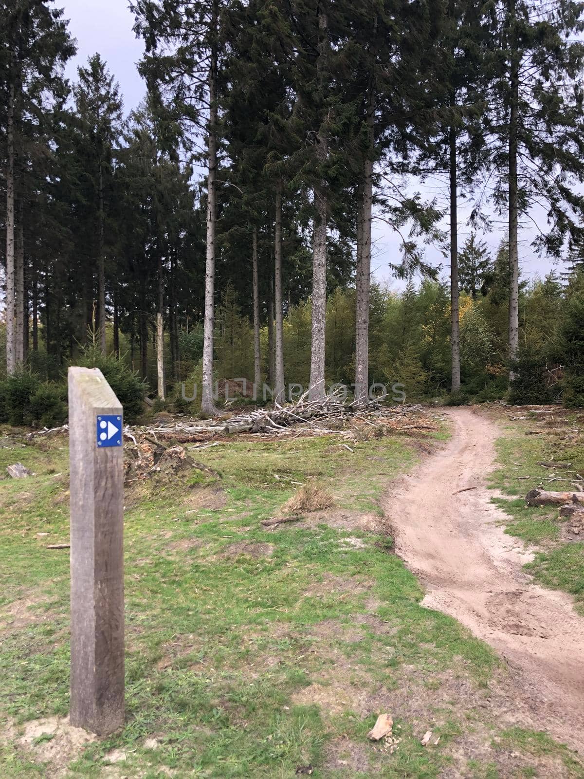 MTB sign at Nationaal Park Drents-Friese Wold in Friesland, The Netherlands