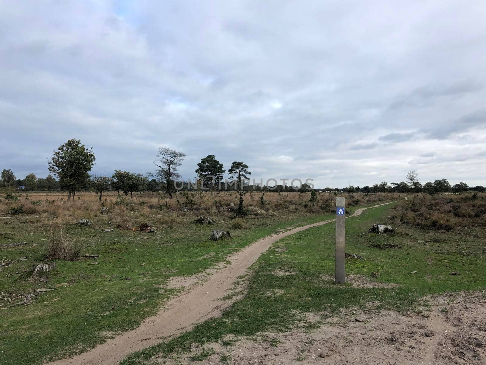 MTB path and sign at Nationaal Park Drents-Friese Wold in Friesland, The Netherlands