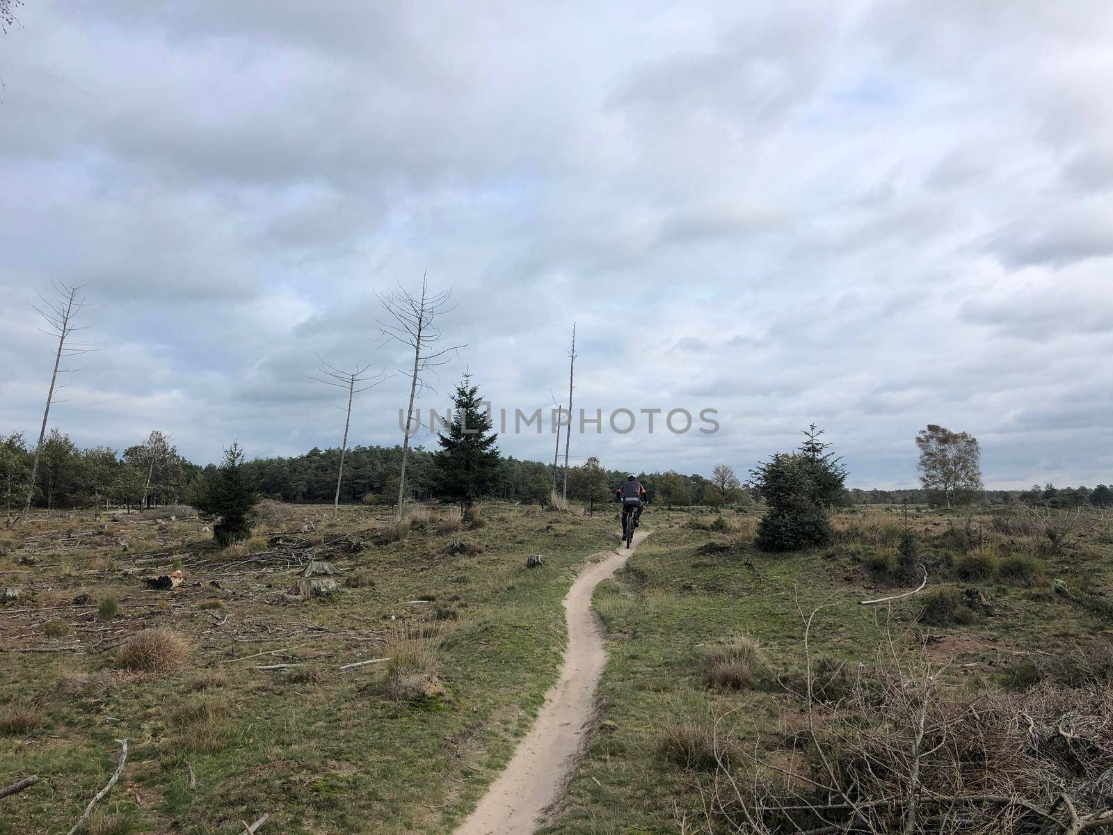 Cycling at Nationaal Park Drents-Friese Wold in Friesland by traveltelly