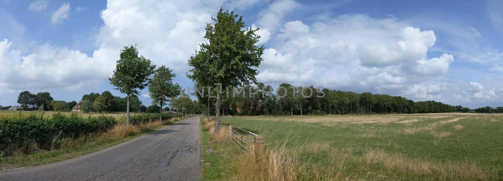 Landscape around Bakhuizen in Friesland The Netherlands