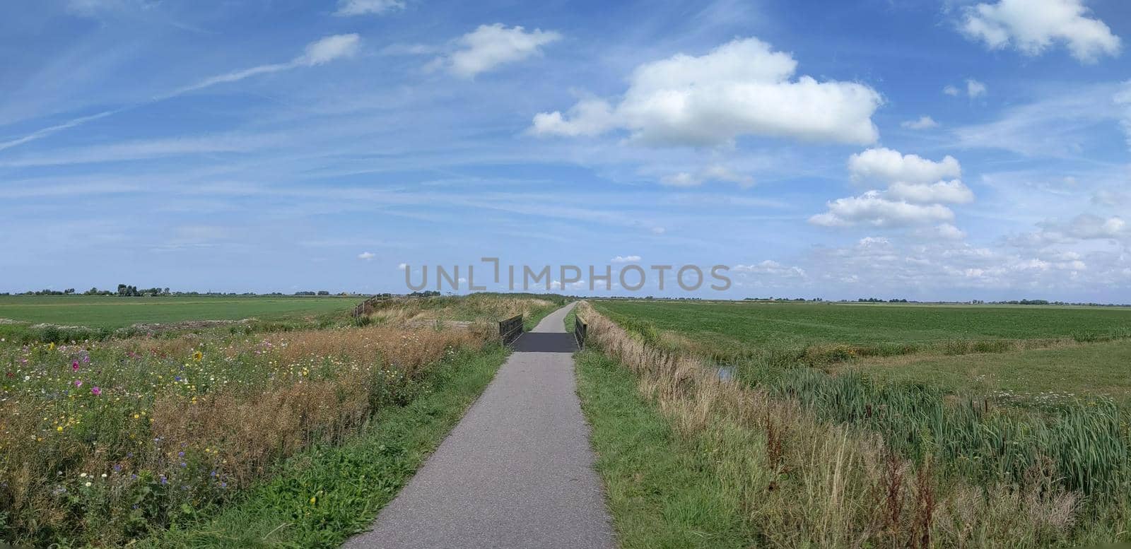 Landscape around Oudega in Friesland The Netherlands