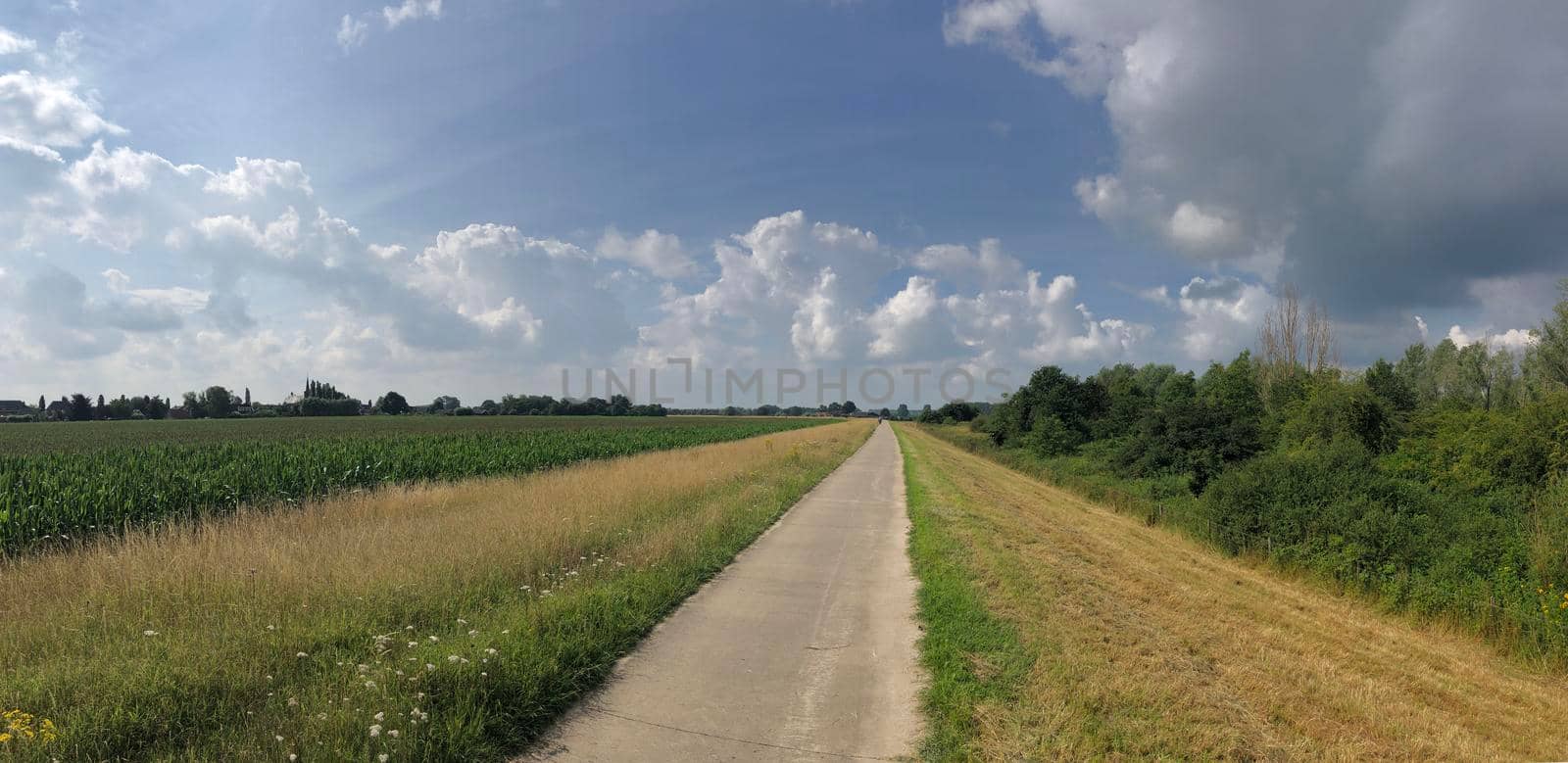 Landscape panoramic from around Olburgen in The Netherlands