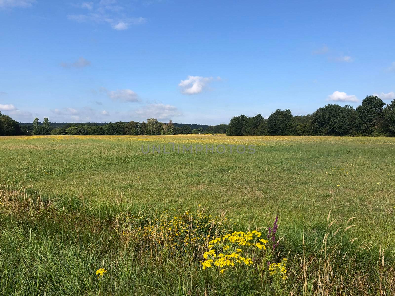 Landscape around Braamt in Gelderland, The Netherlands