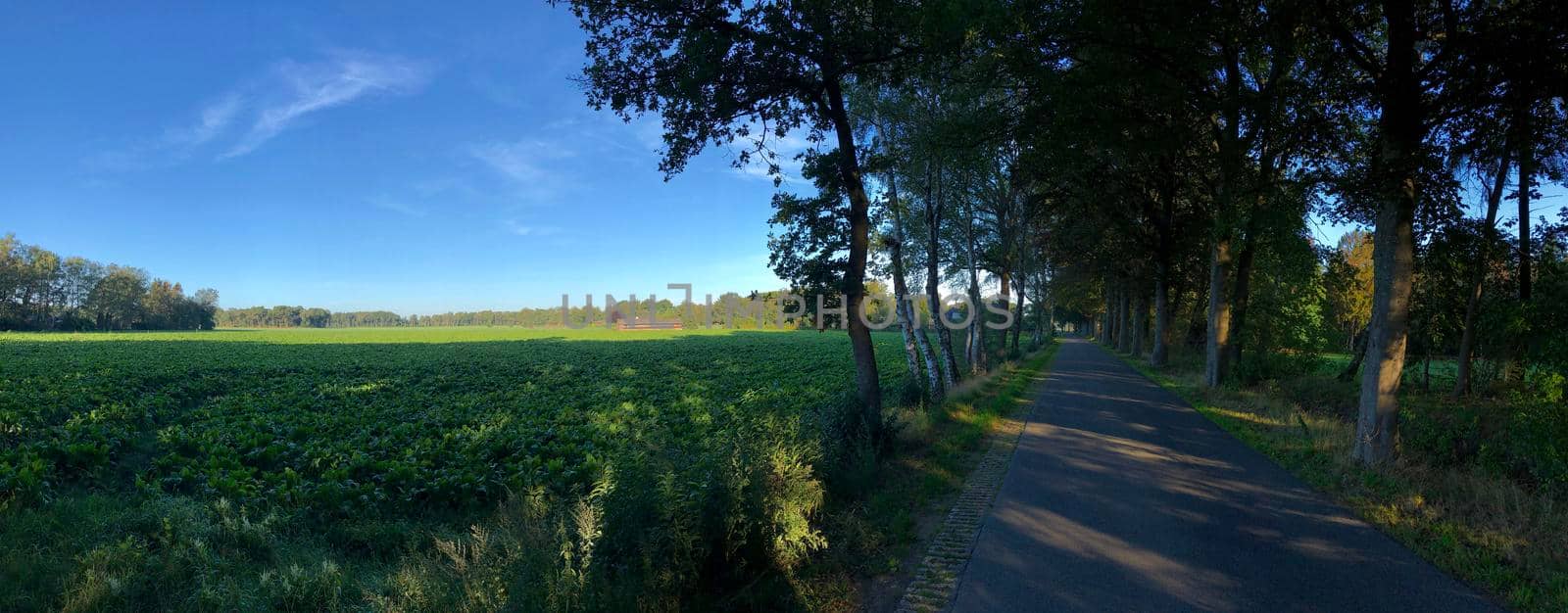 Panorama from farmland around Wolfersveen in Gelderland, The Netherlands
