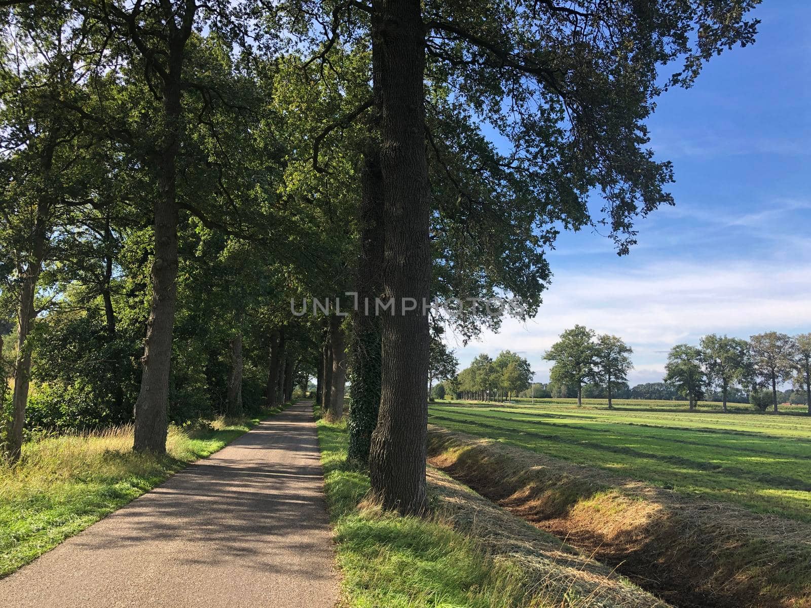 Farming landscape around Sinderen in The Netherlands