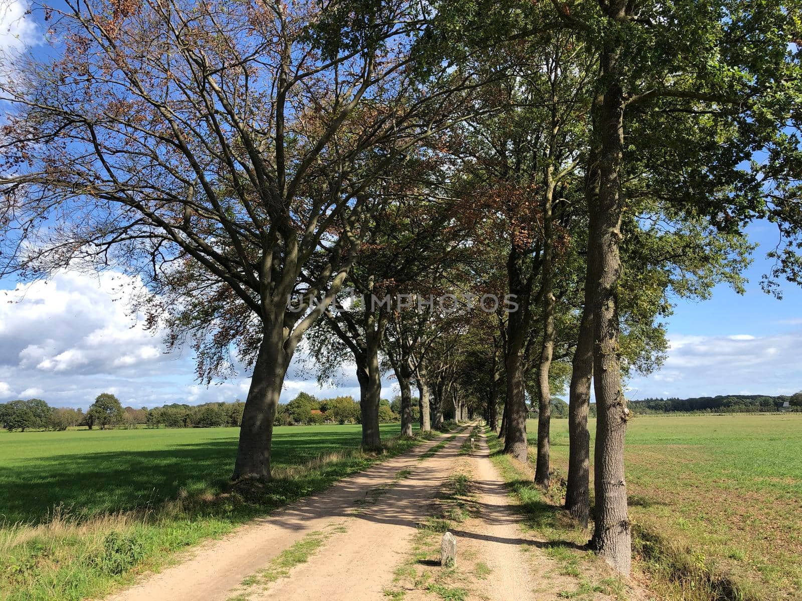 Sand road around Zelhem, Gelderland The Netherlands