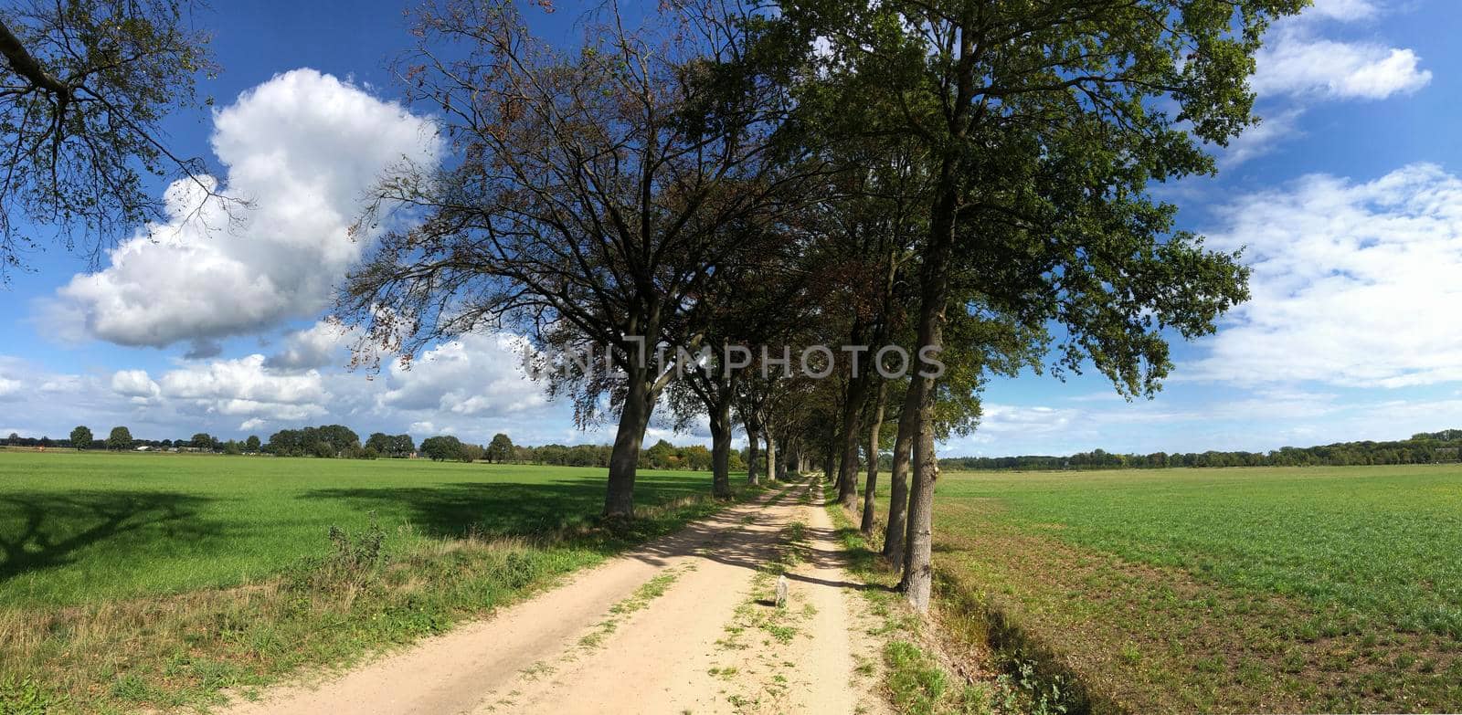 Sand road around Zelhem by traveltelly