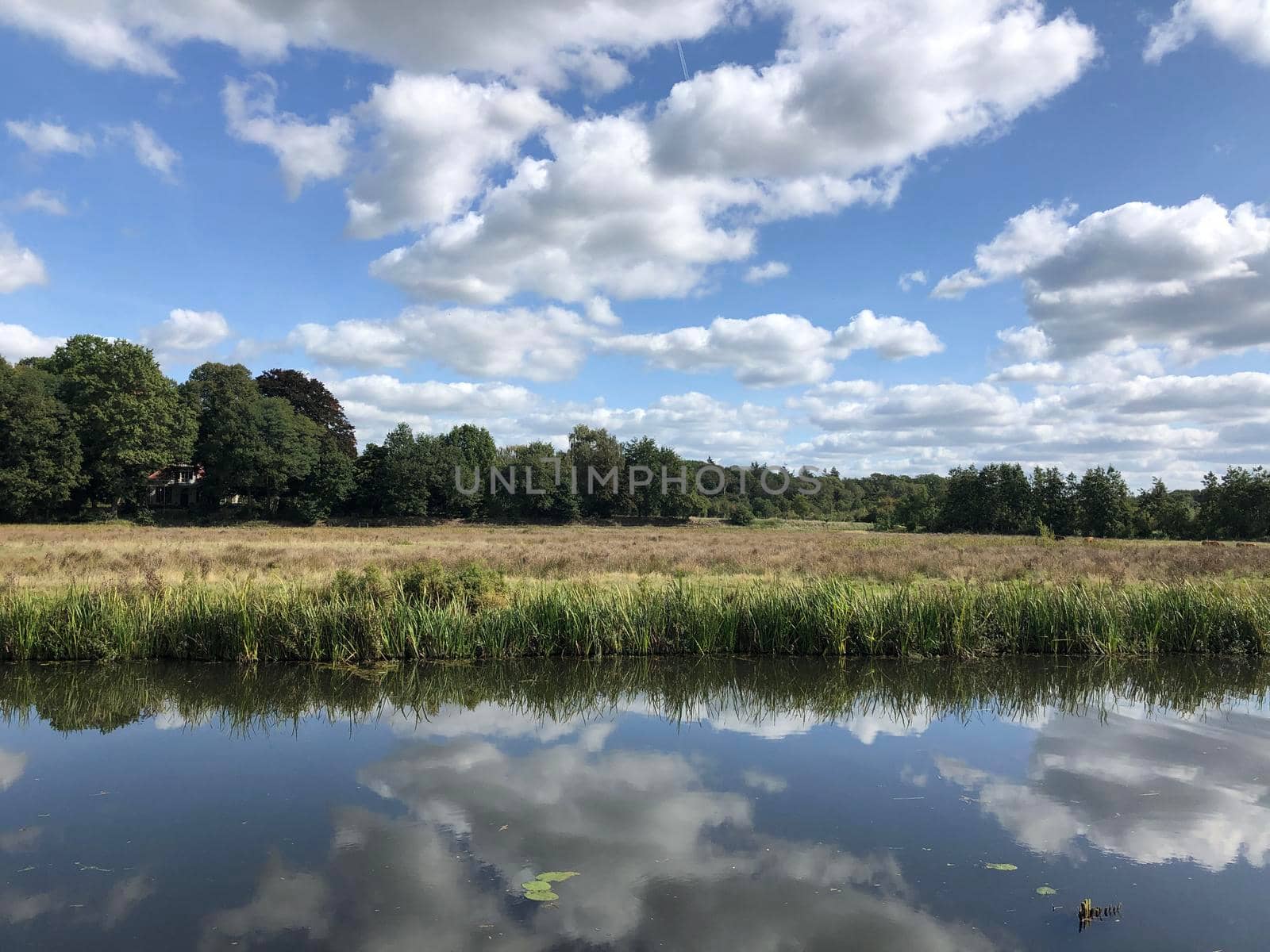 The old ijssel river in Gelderland, The Netherlands