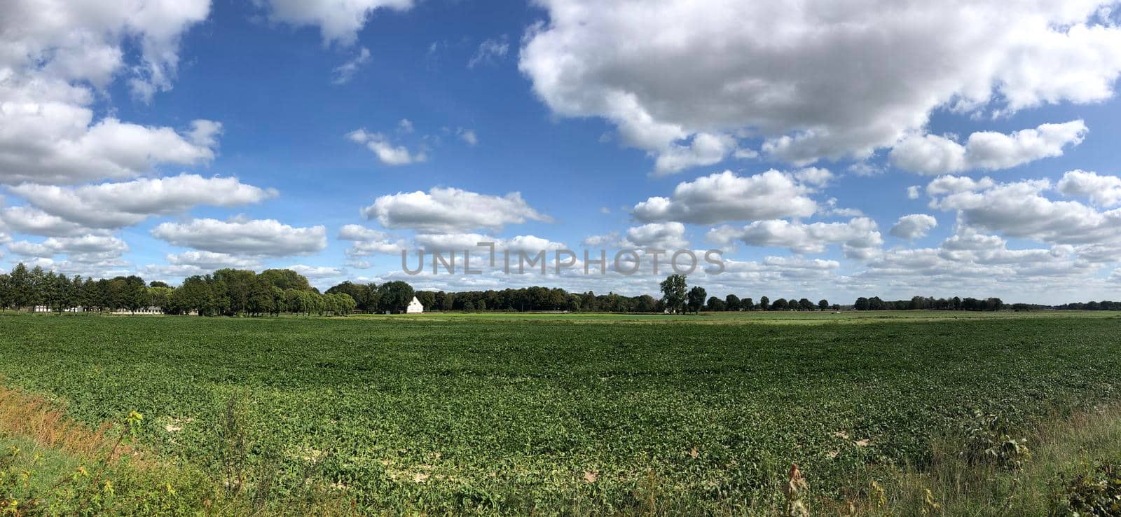 Scenery around the Dutch and German border at Gendringen, The Netherlands