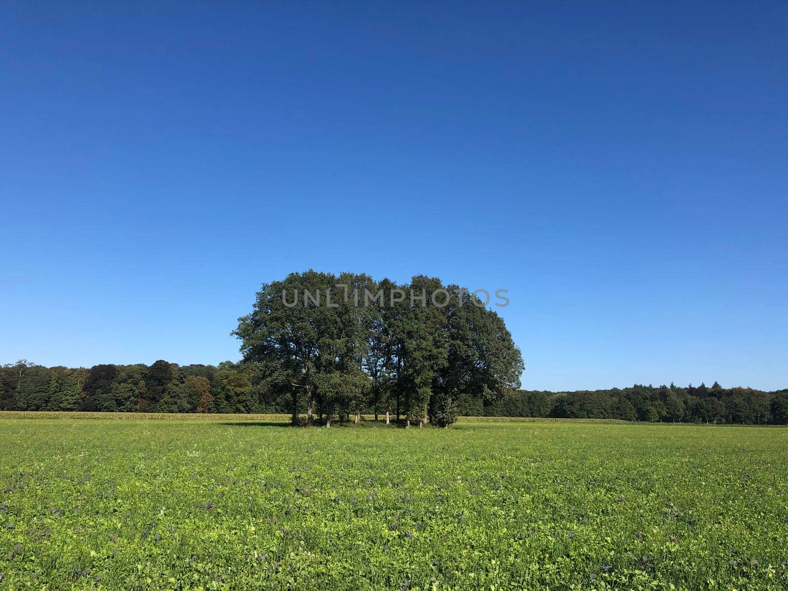 Farmland around Hummelo in Gelderland, The Netherlands