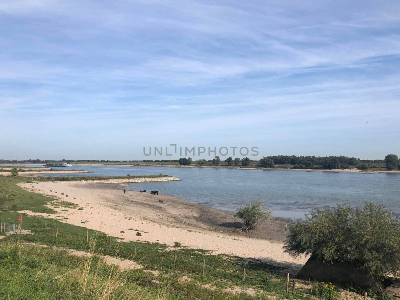 The Waal river around Ooij in Gelderland The Netherlands